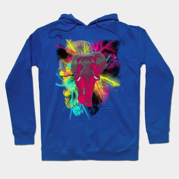 Elephant Explosion Hoodie by By Diane Maclaine